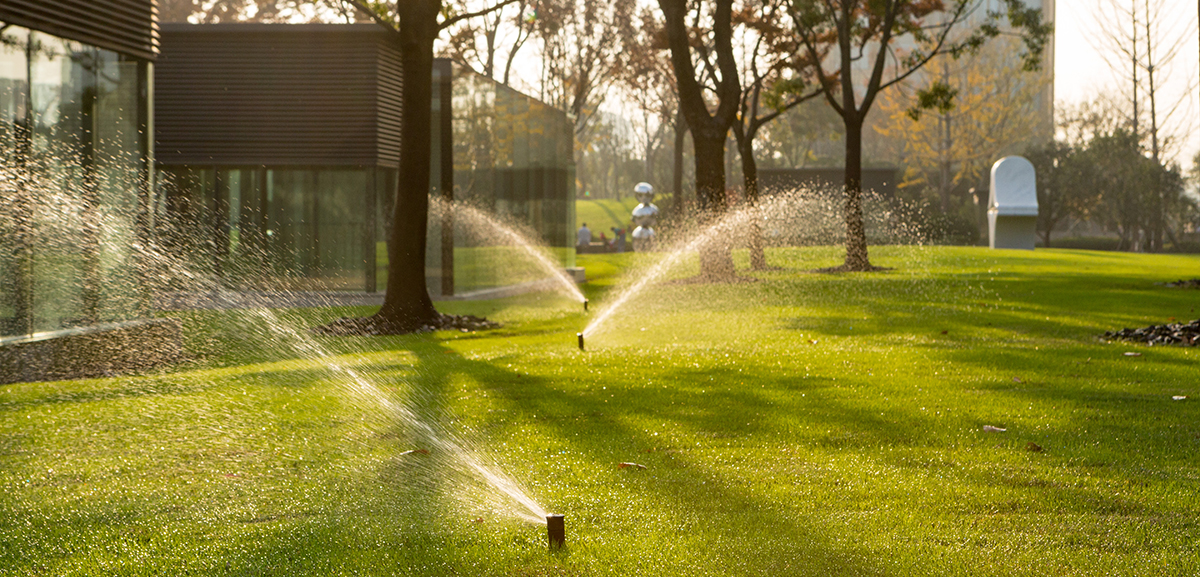 The open urban green spaces enable visitors to quietly enjoy the beauty and feel the change of the four seasons.