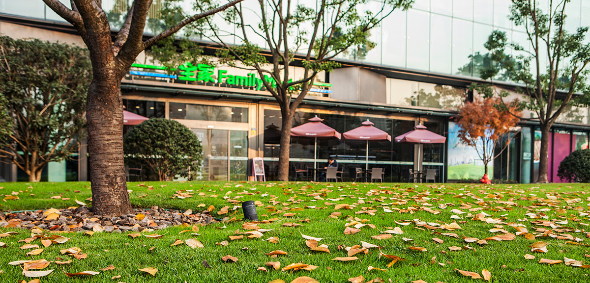 The open urban green spaces enable visitors to quietly enjoy the beauty and feel the change of the four seasons.