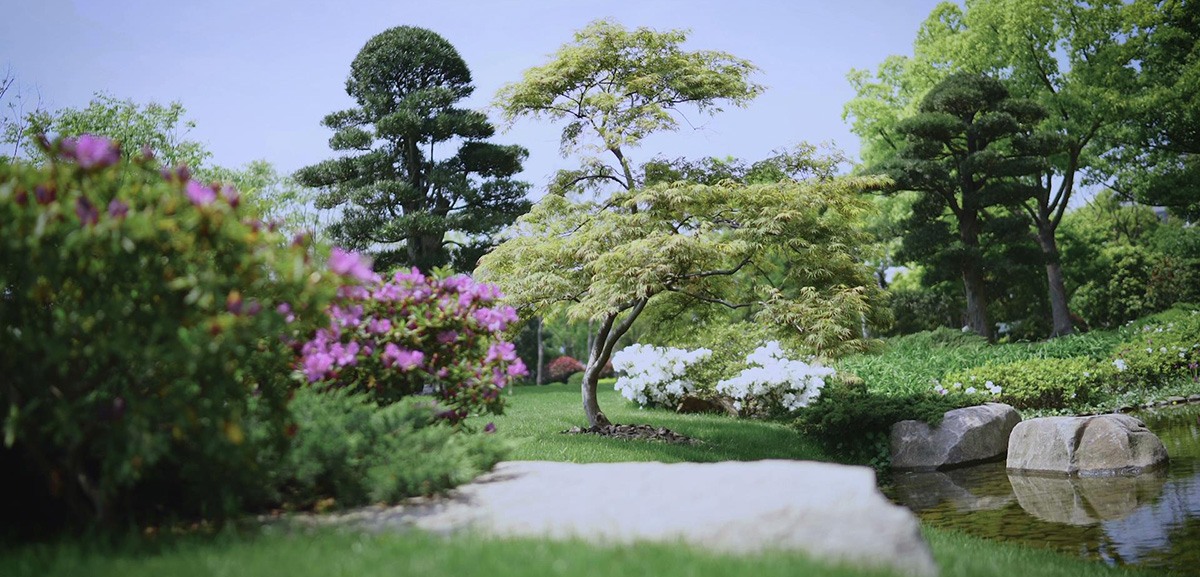 Back Garden · Quiet Garden has a Japanese style courtyard design embracing serenity amid chaos and creates unworldly environment enabling people through refining and concentration of nature to maintain peace of mind, sit quietly and meditate.