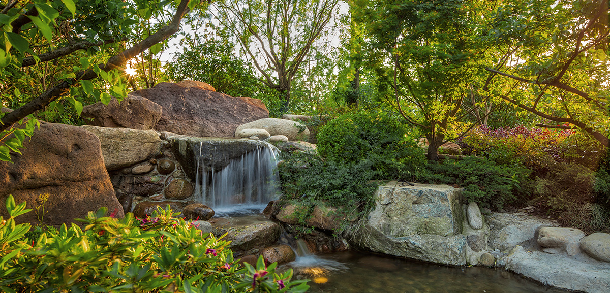 Back Garden · Quiet Garden has a Japanese style courtyard design embracing serenity amid chaos and creates unworldly environment enabling people through refining and concentration of nature to maintain peace of mind, sit quietly and meditate.