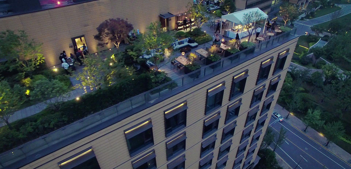 Sky Garden in Jing Shang Jing: oriental artistic conception, surrounded by green plants