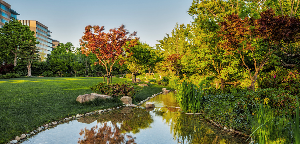Back Garden · Quiet Garden has a Japanese style courtyard design embracing serenity amid chaos and creates unworldly environment enabling people through refining and concentration of nature to maintain peace of mind, sit quietly and meditate.