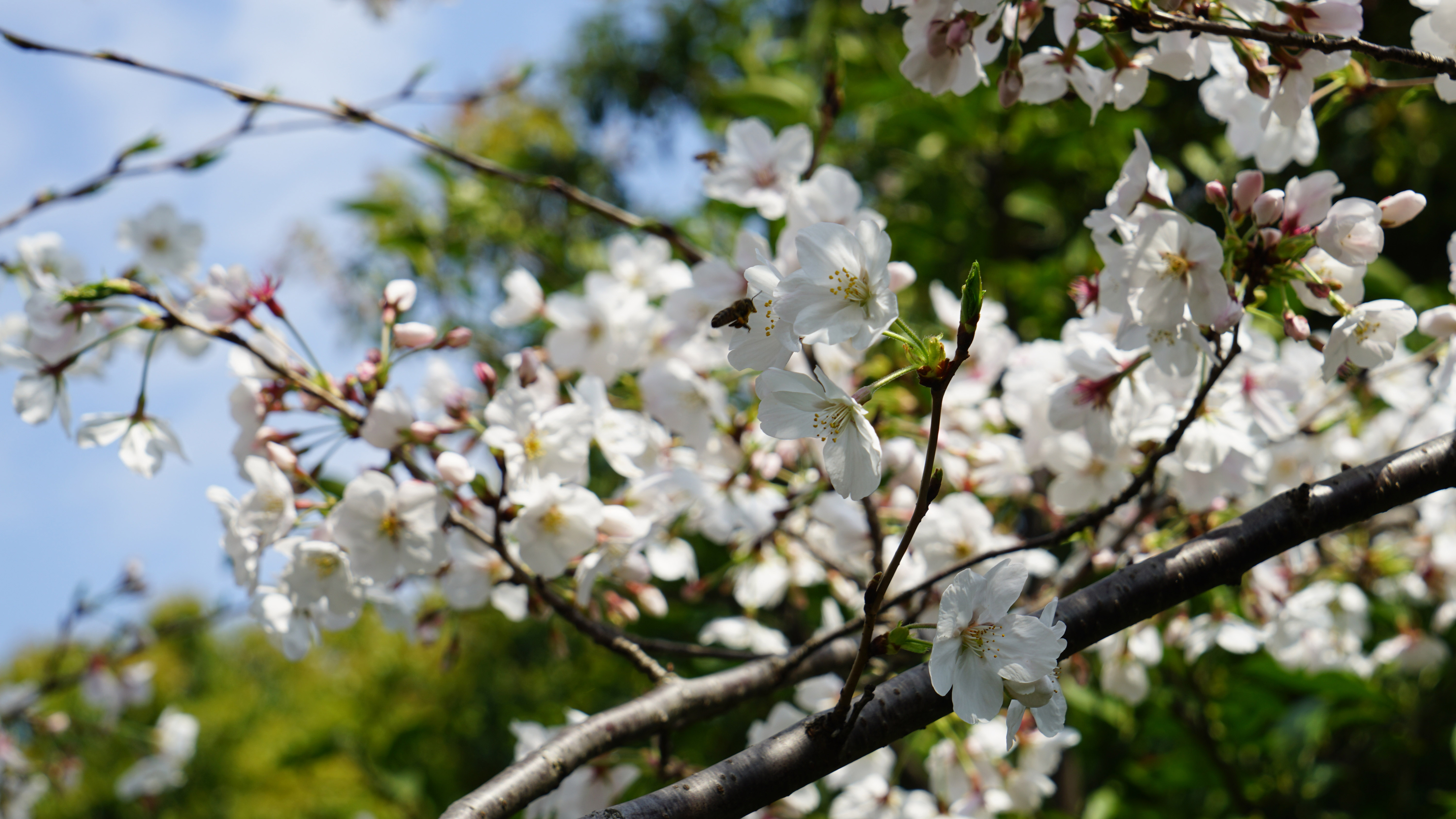 DSC00354_3.jpg