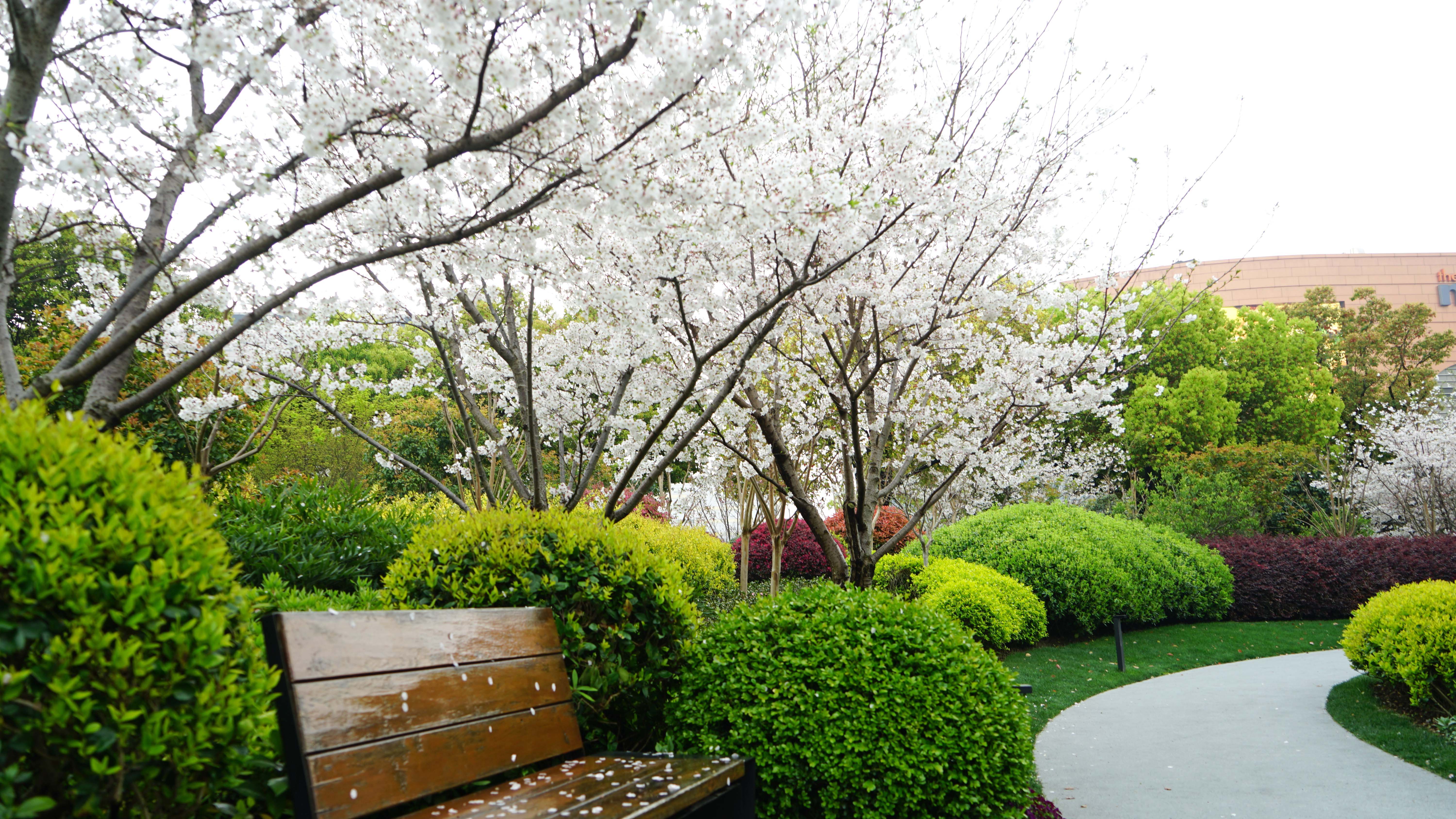 DSC00729_2.jpg