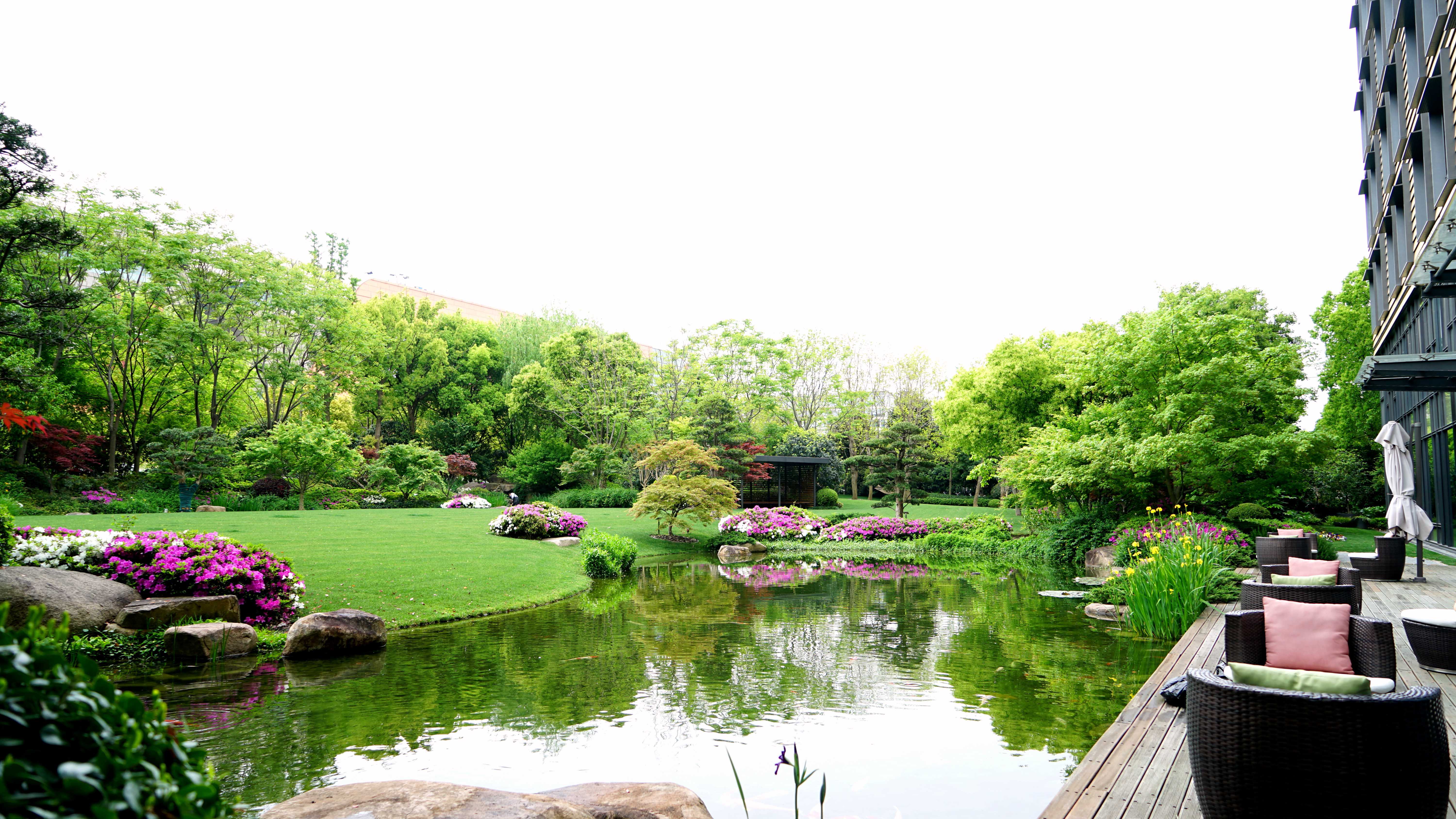 杜鹃花卉_2020 (12)_1.jpg