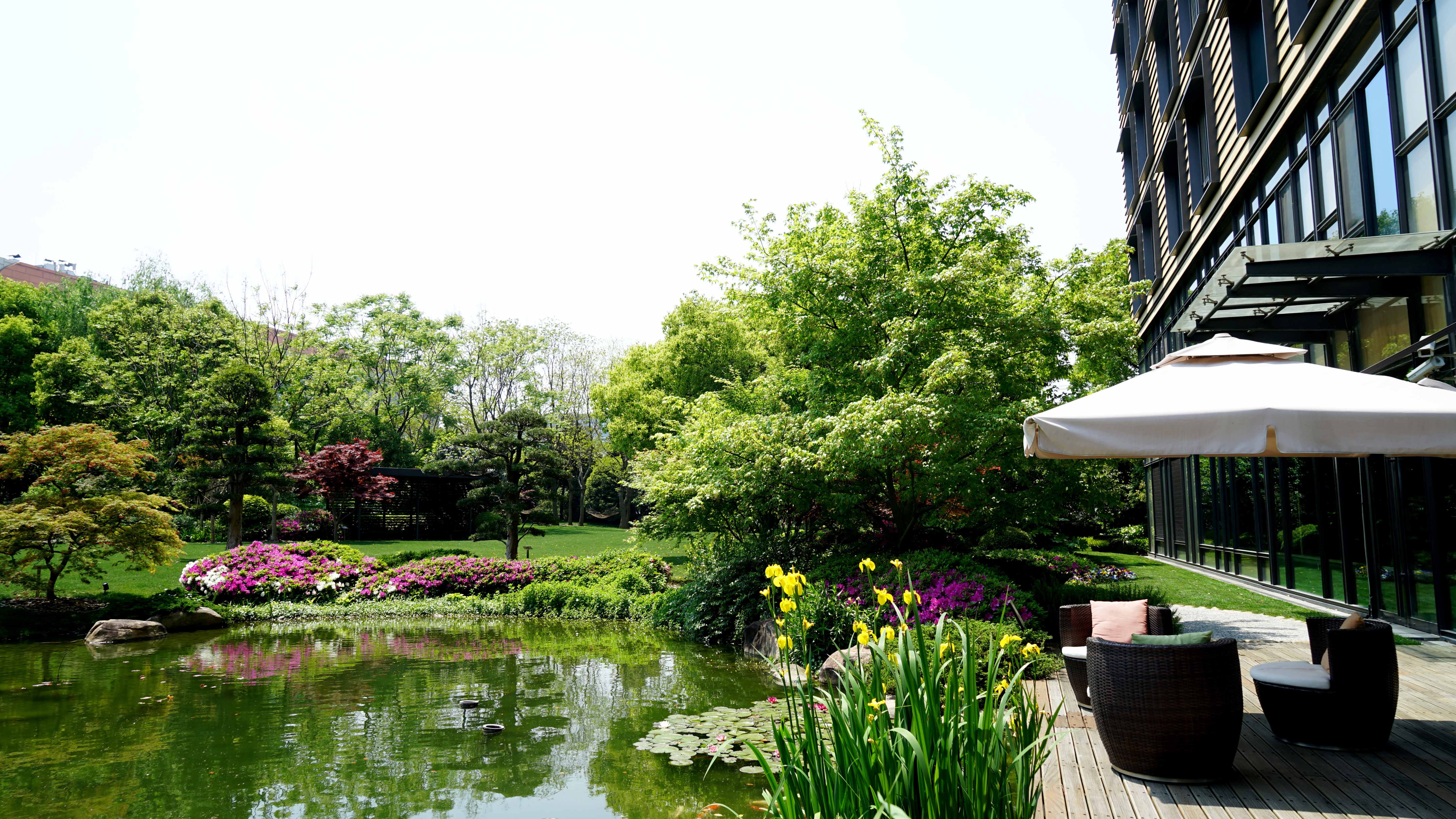 杜鹃花卉_2020 (2)_3.jpg