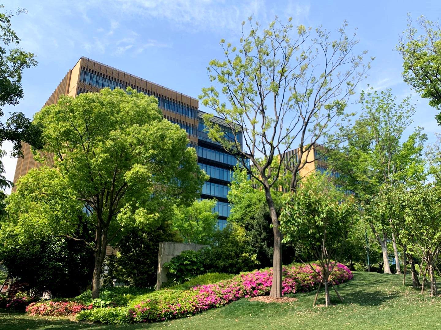 杜鹃花卉_2020 (8)_2.jpg