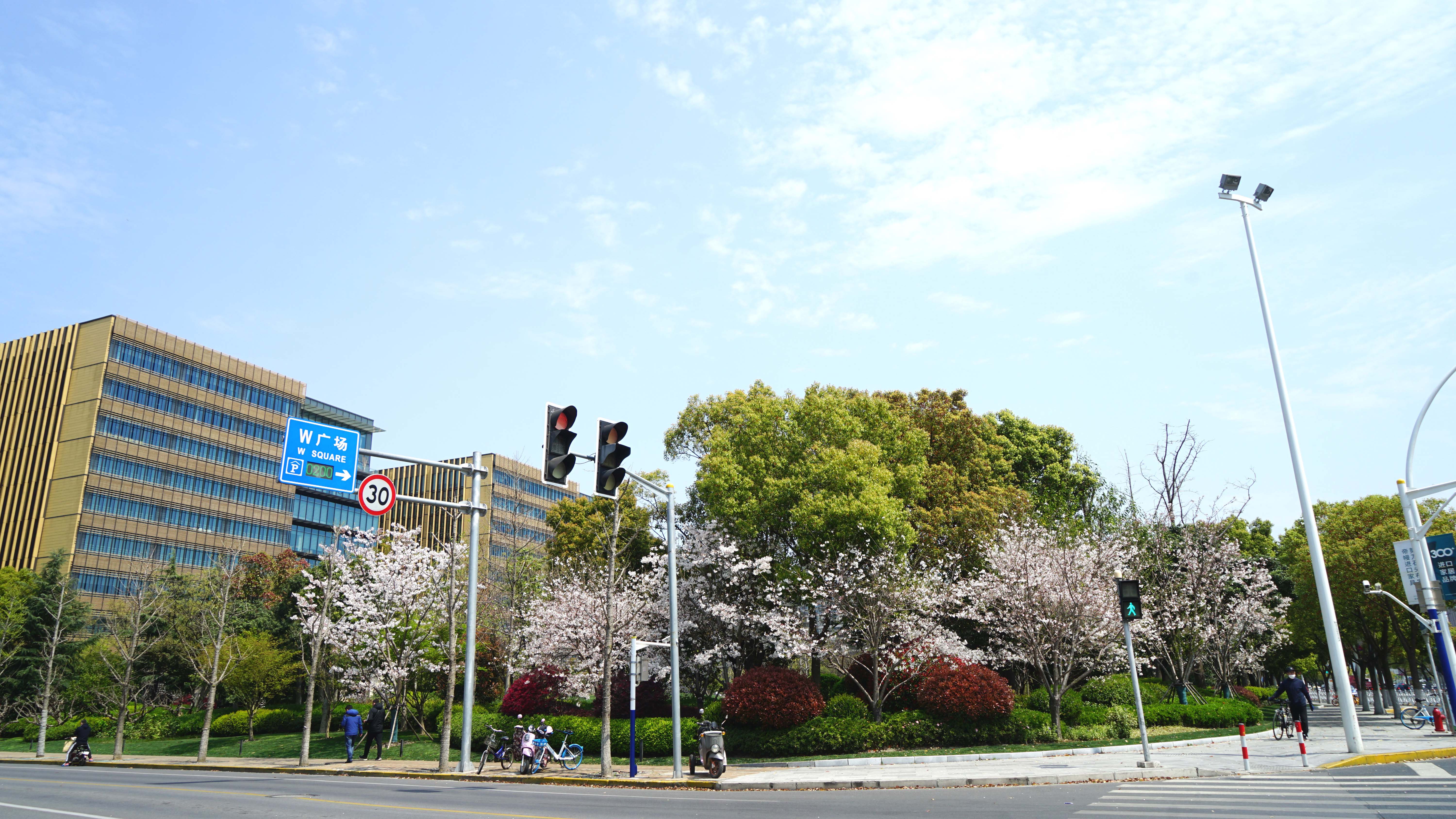 DSC00392_2.jpg