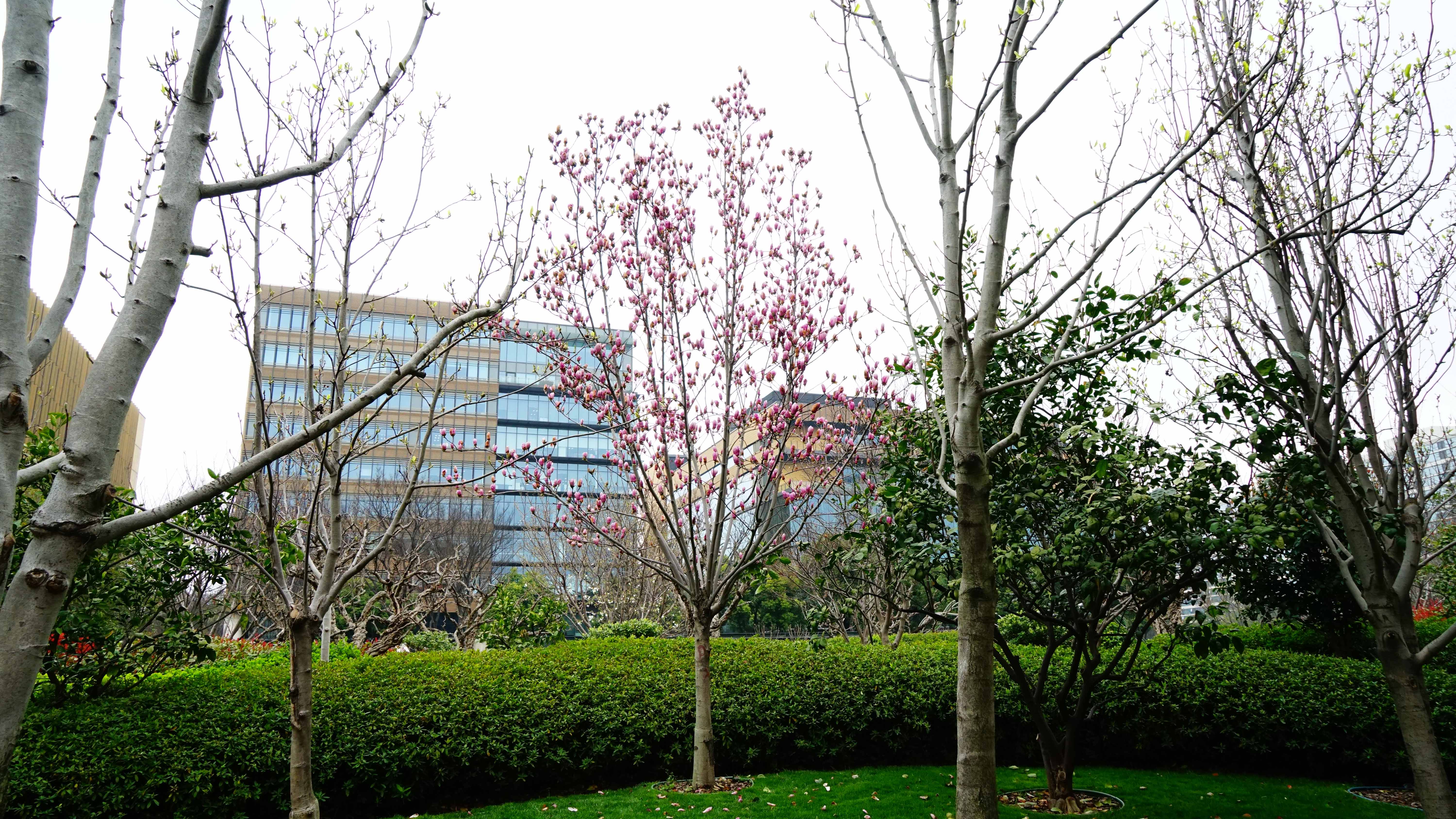 DSC06802_1.jpg