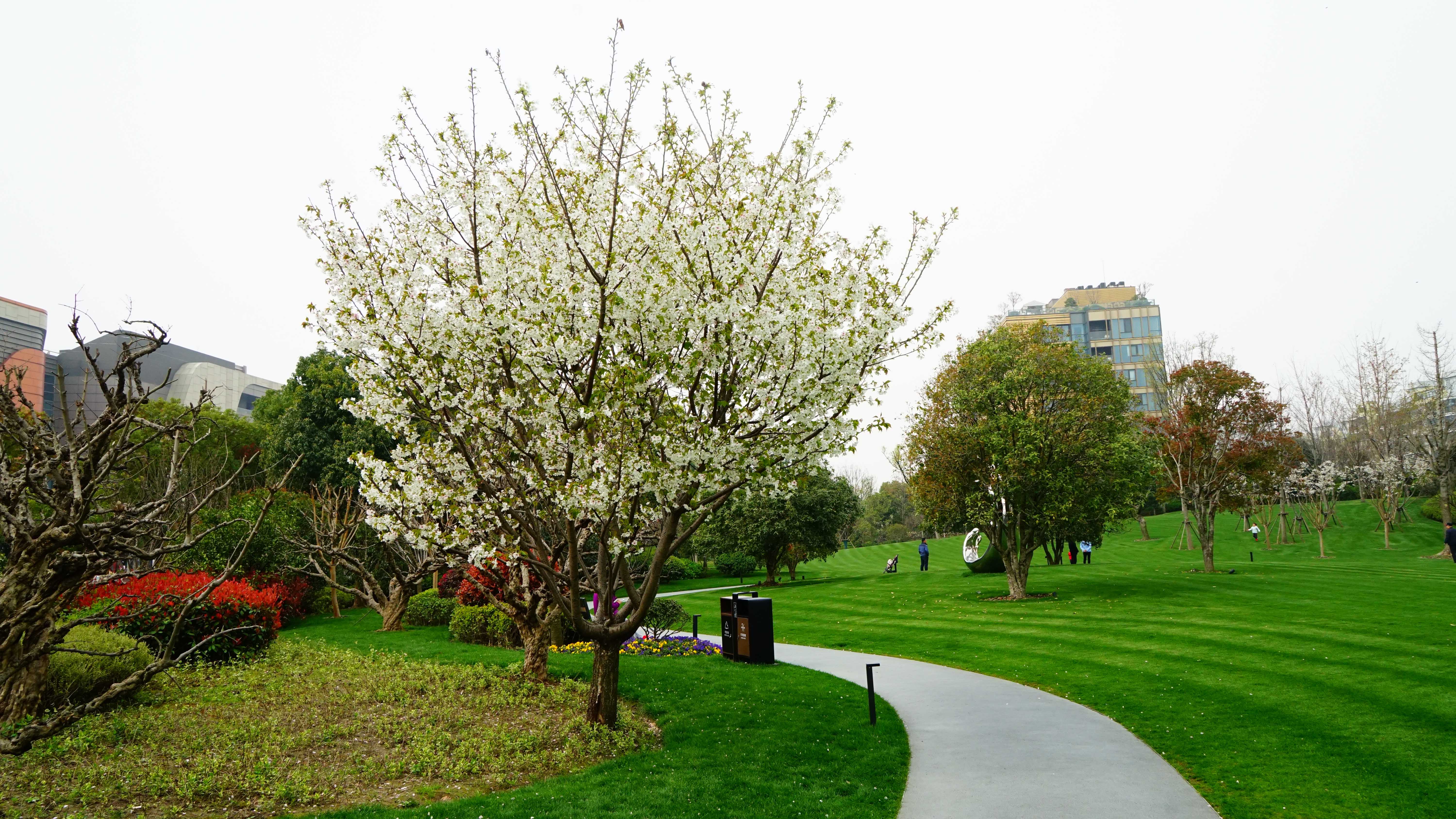 DSC07438_1.jpg
