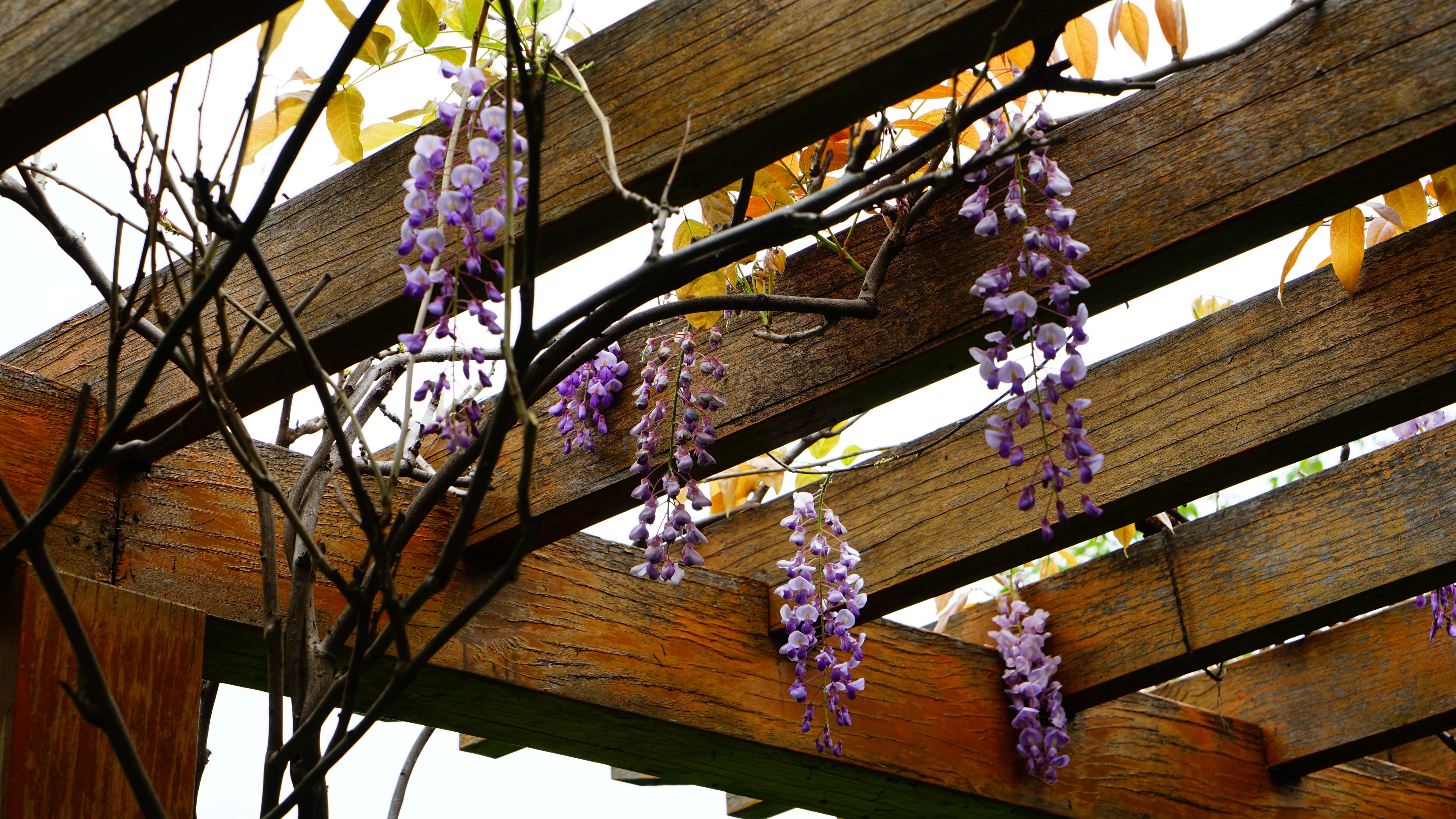 DSC00663_1.jpg