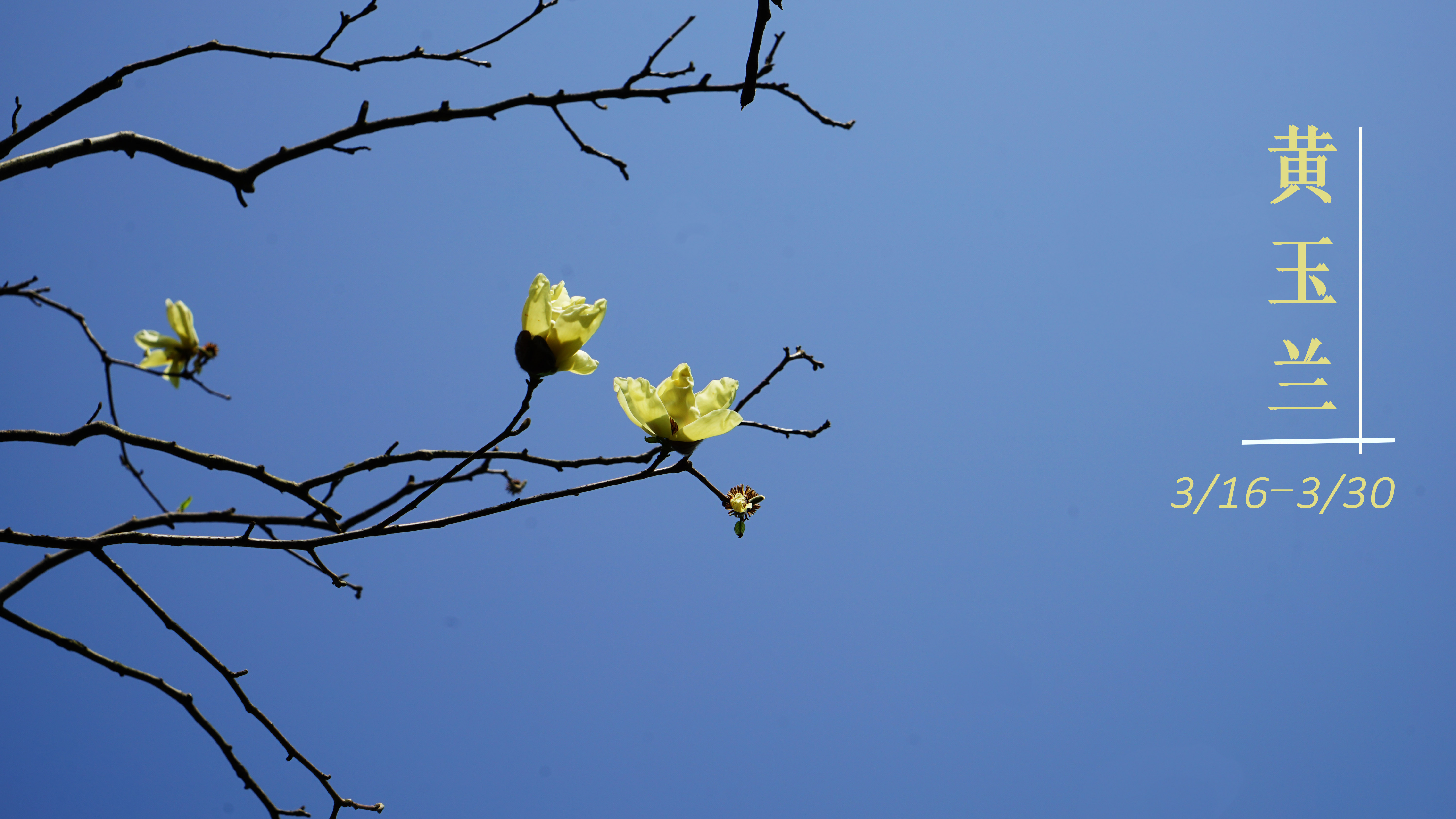 DSC08224.jpg
