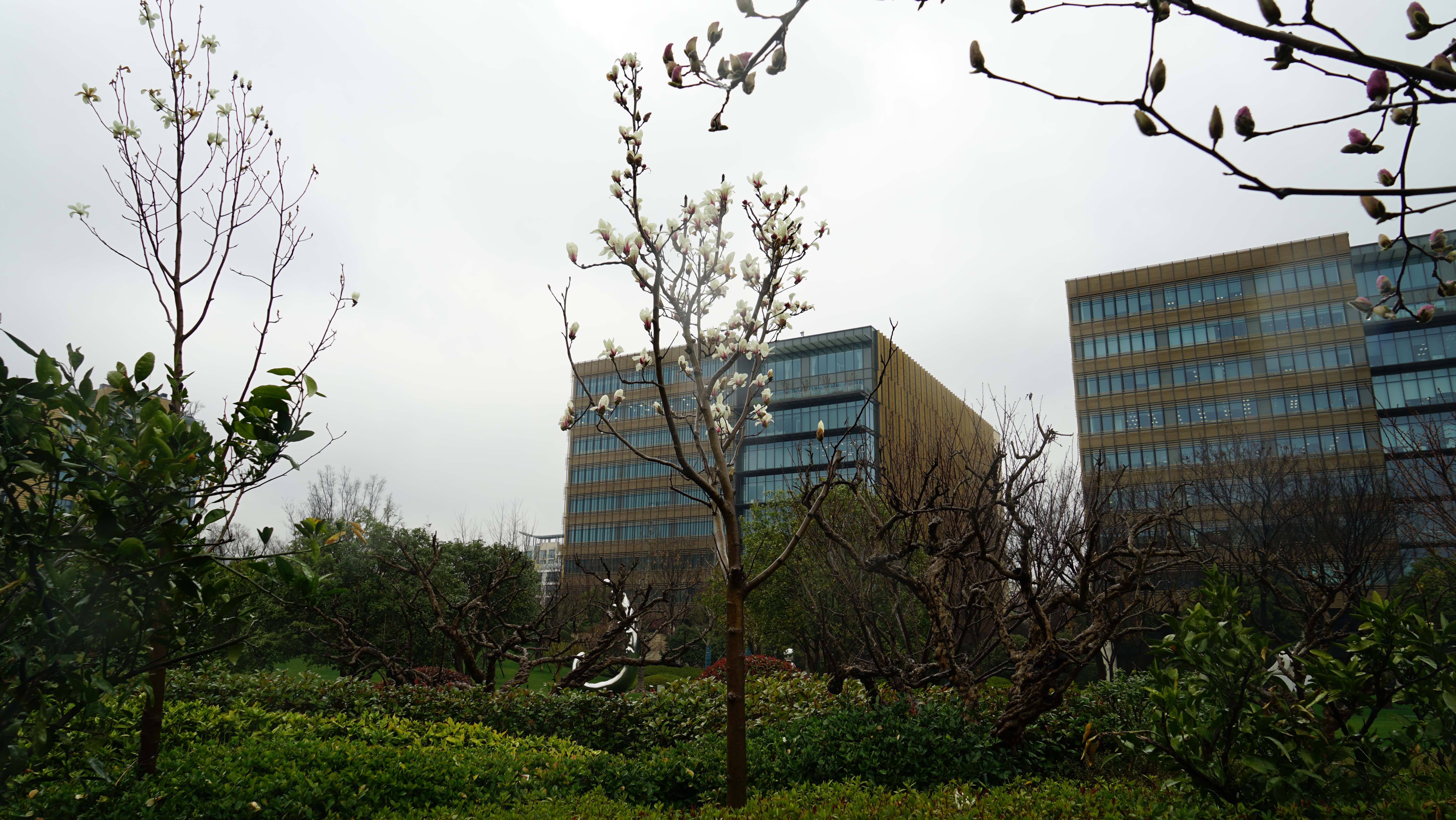 DSC06011_1.jpg