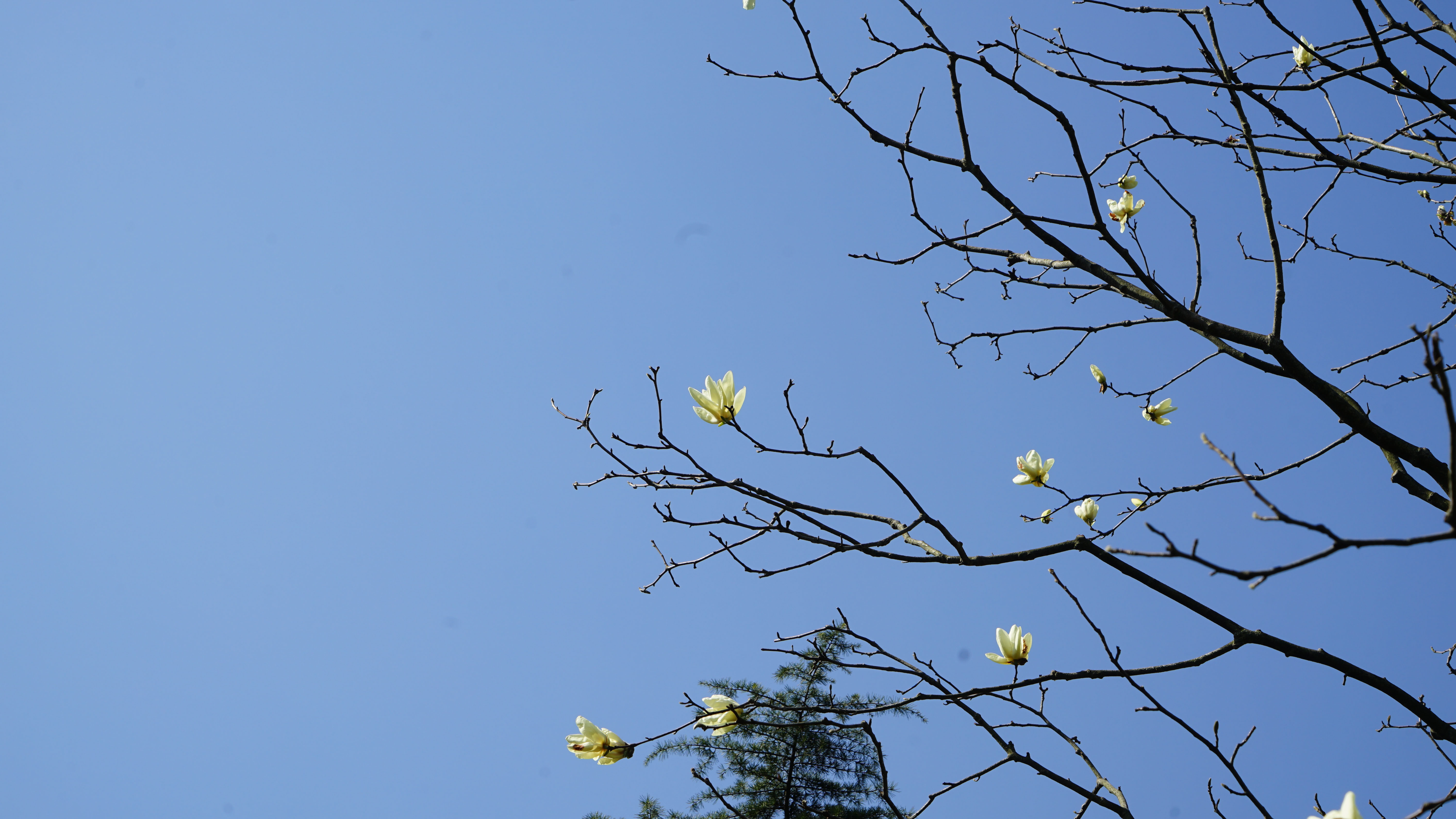 DSC07904.jpg