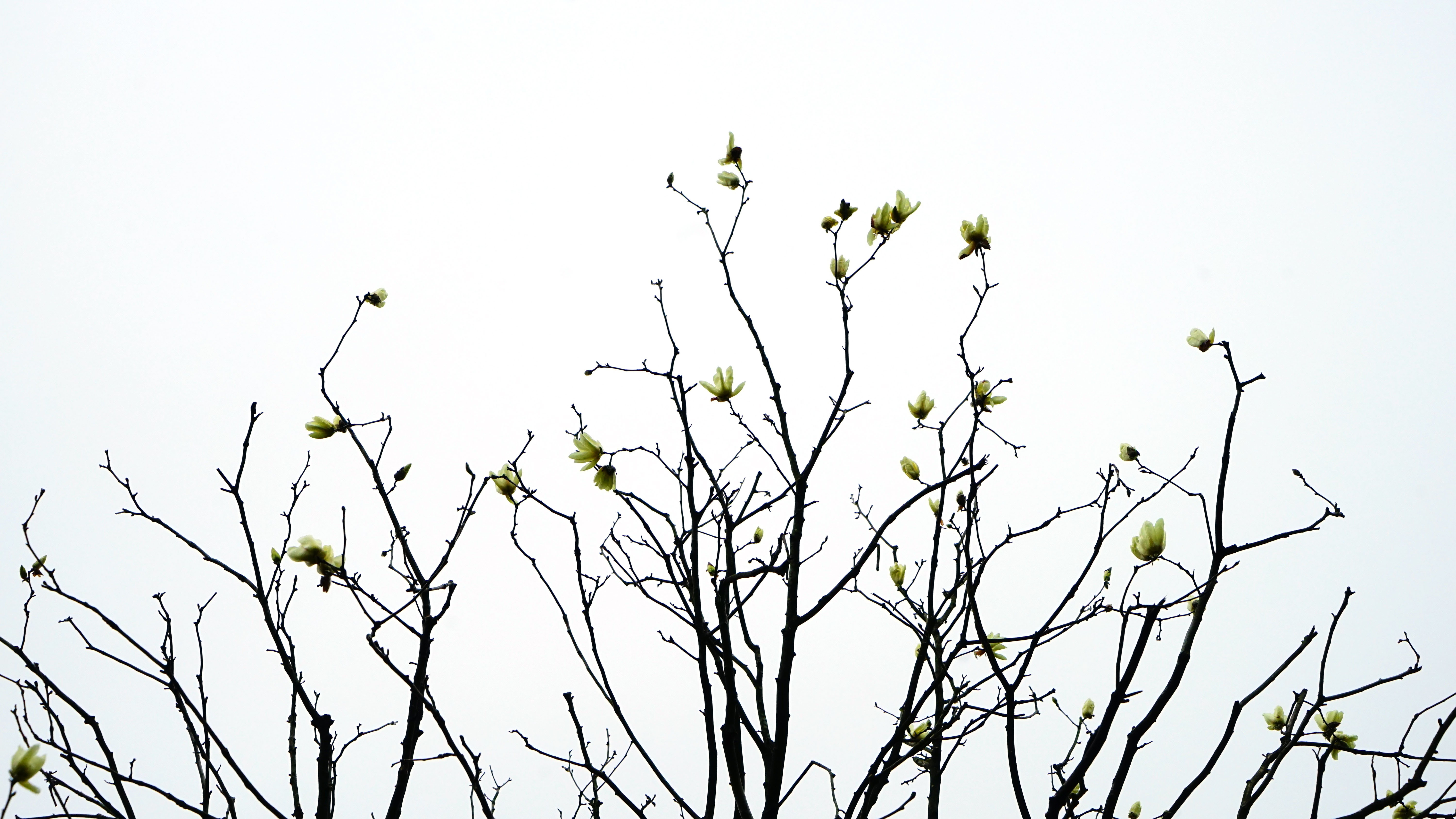 DSC07287.jpg