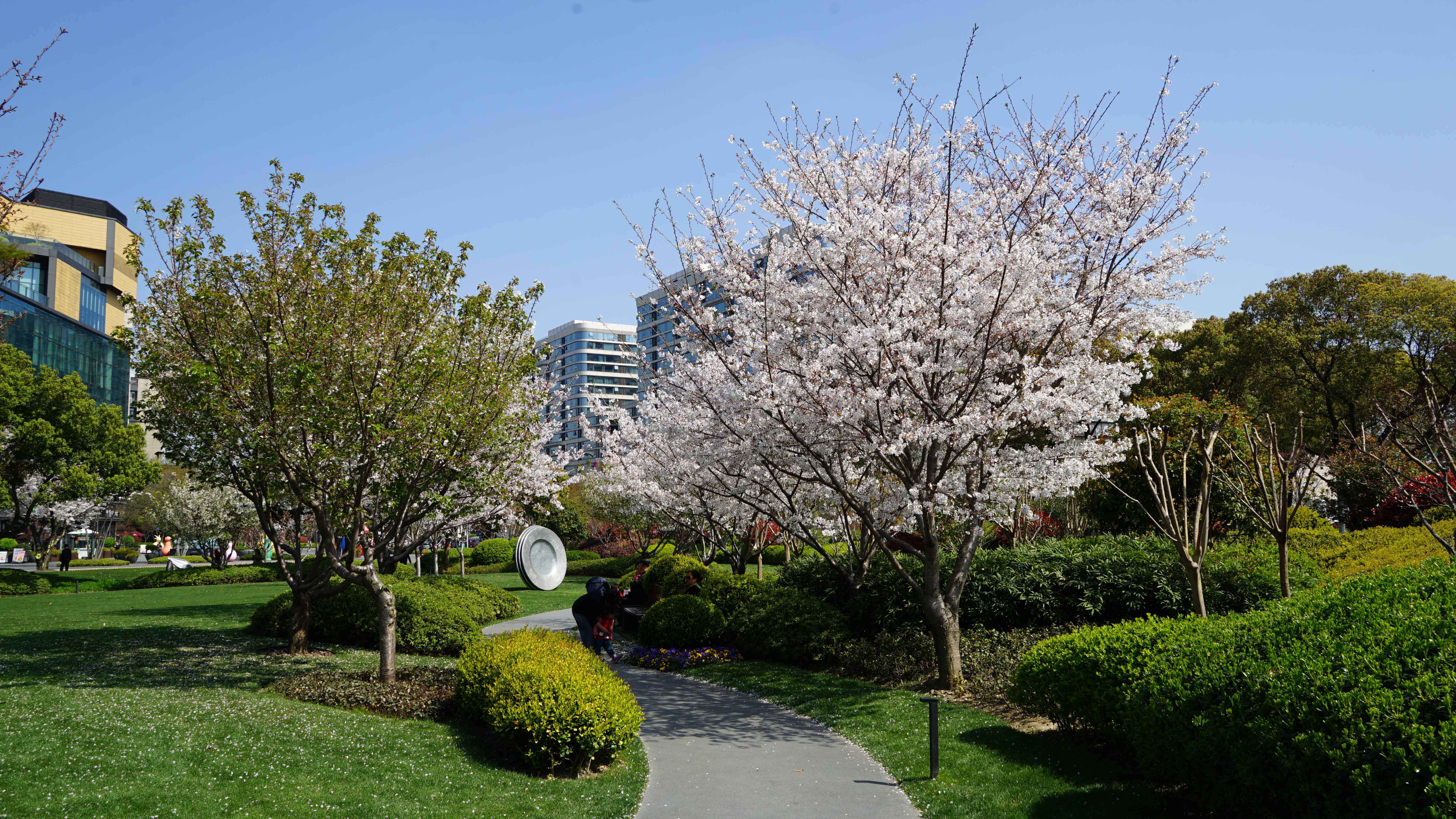 DSC08320_1.jpg