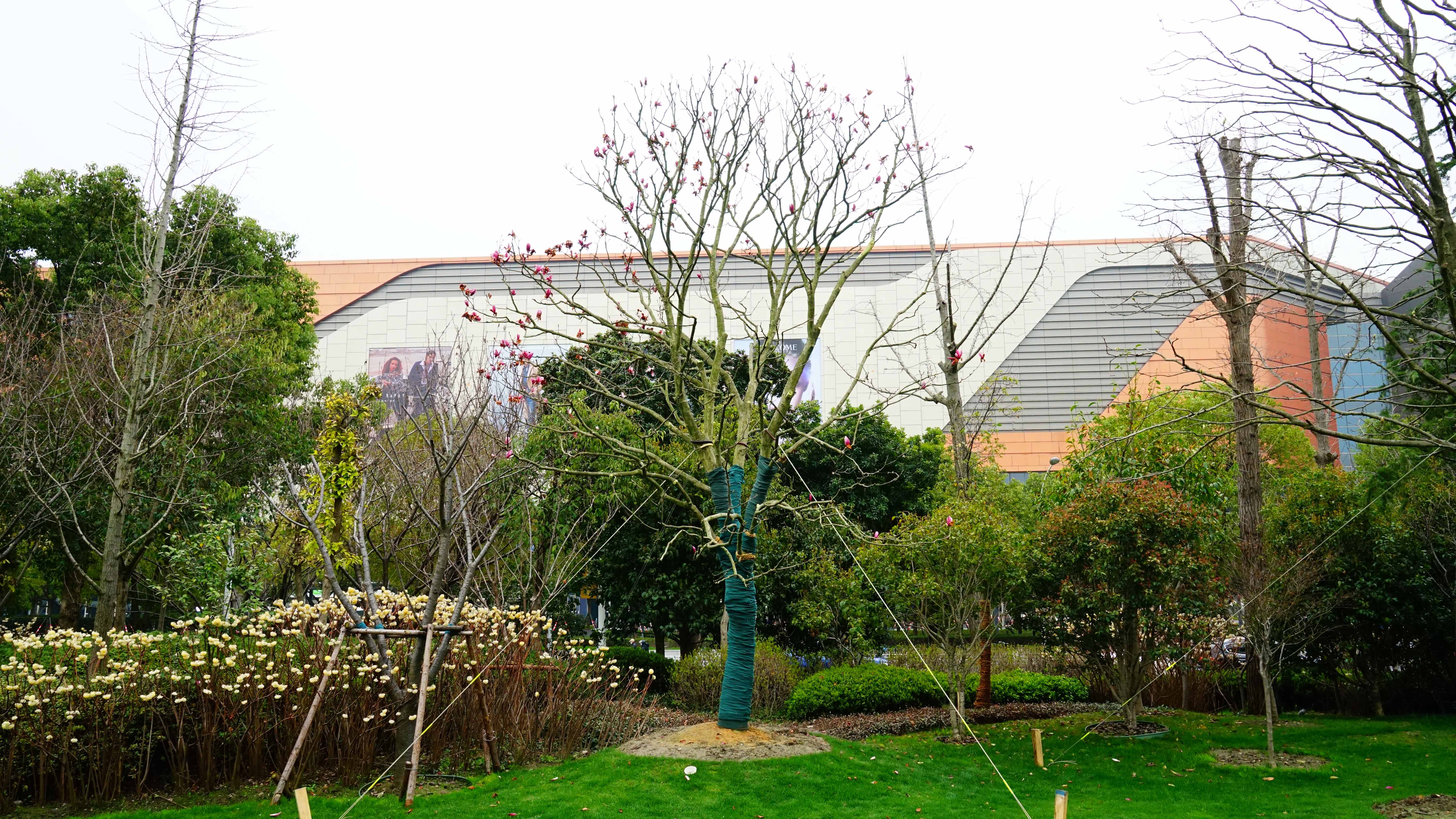 DSC06790_1.jpg