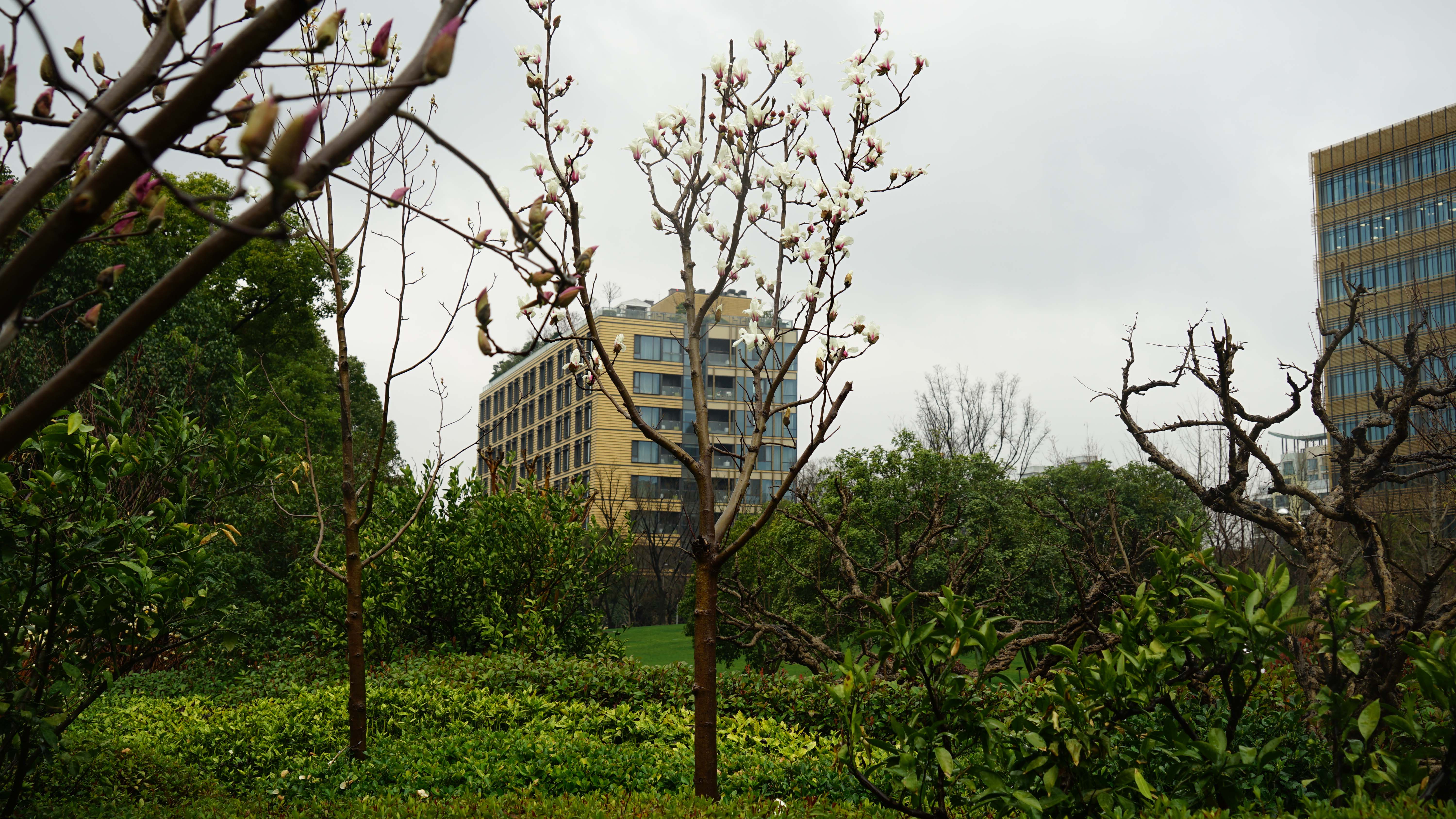 DSC06014_1.jpg