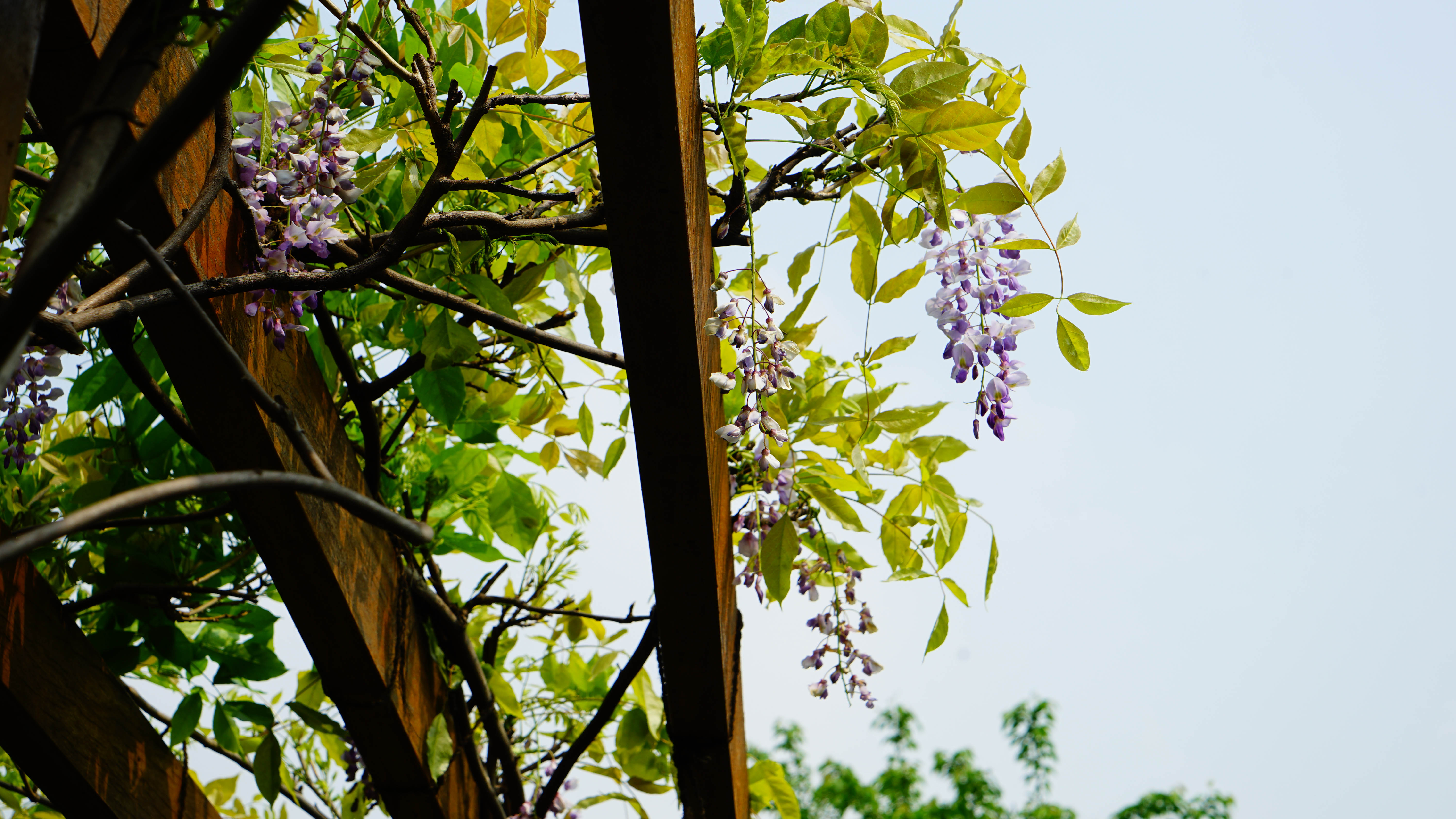 DSC00751.jpg