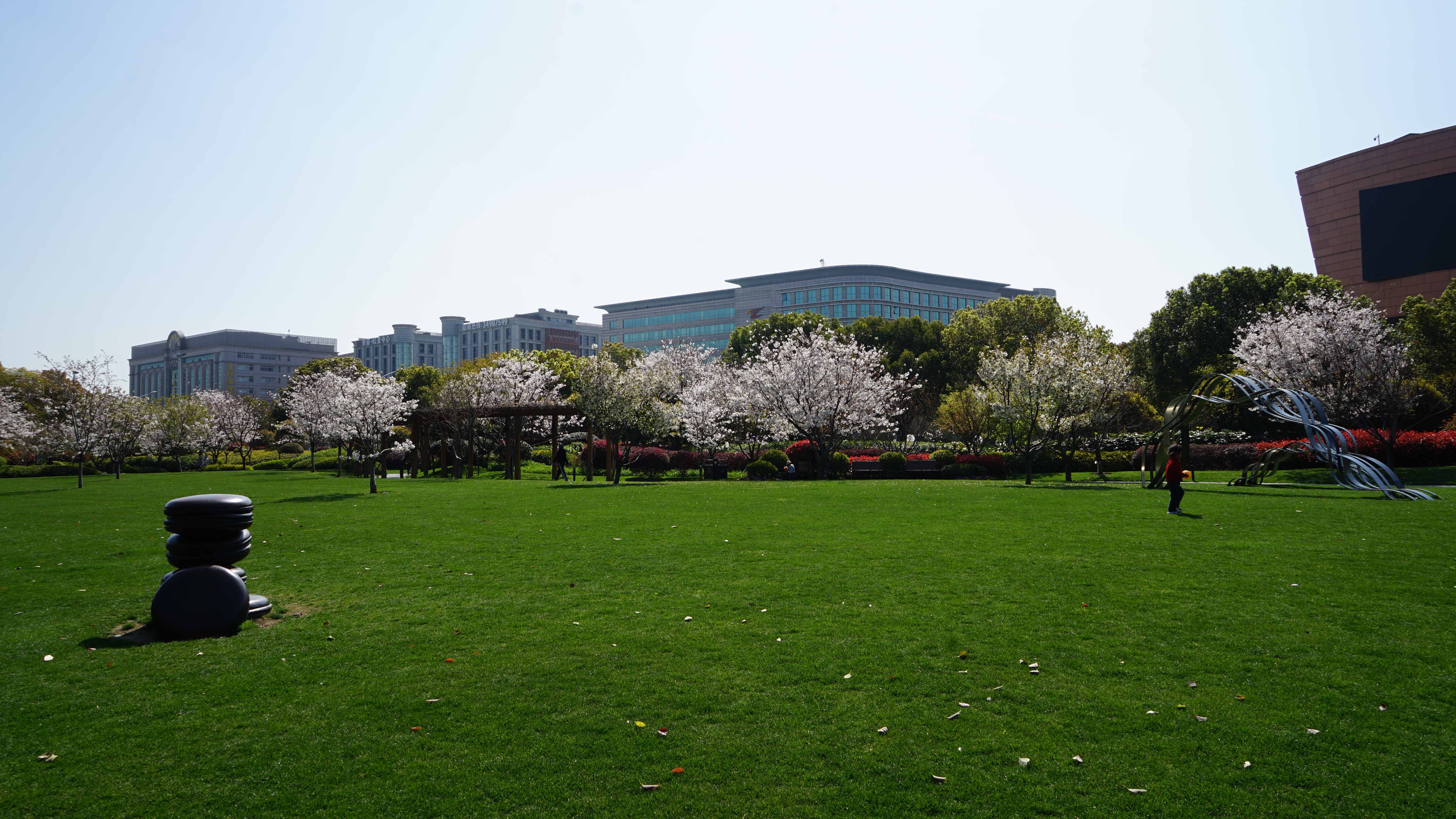 DSC08286.jpg