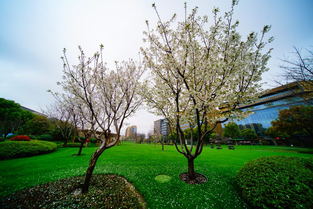 微信图片_20210401132927.png