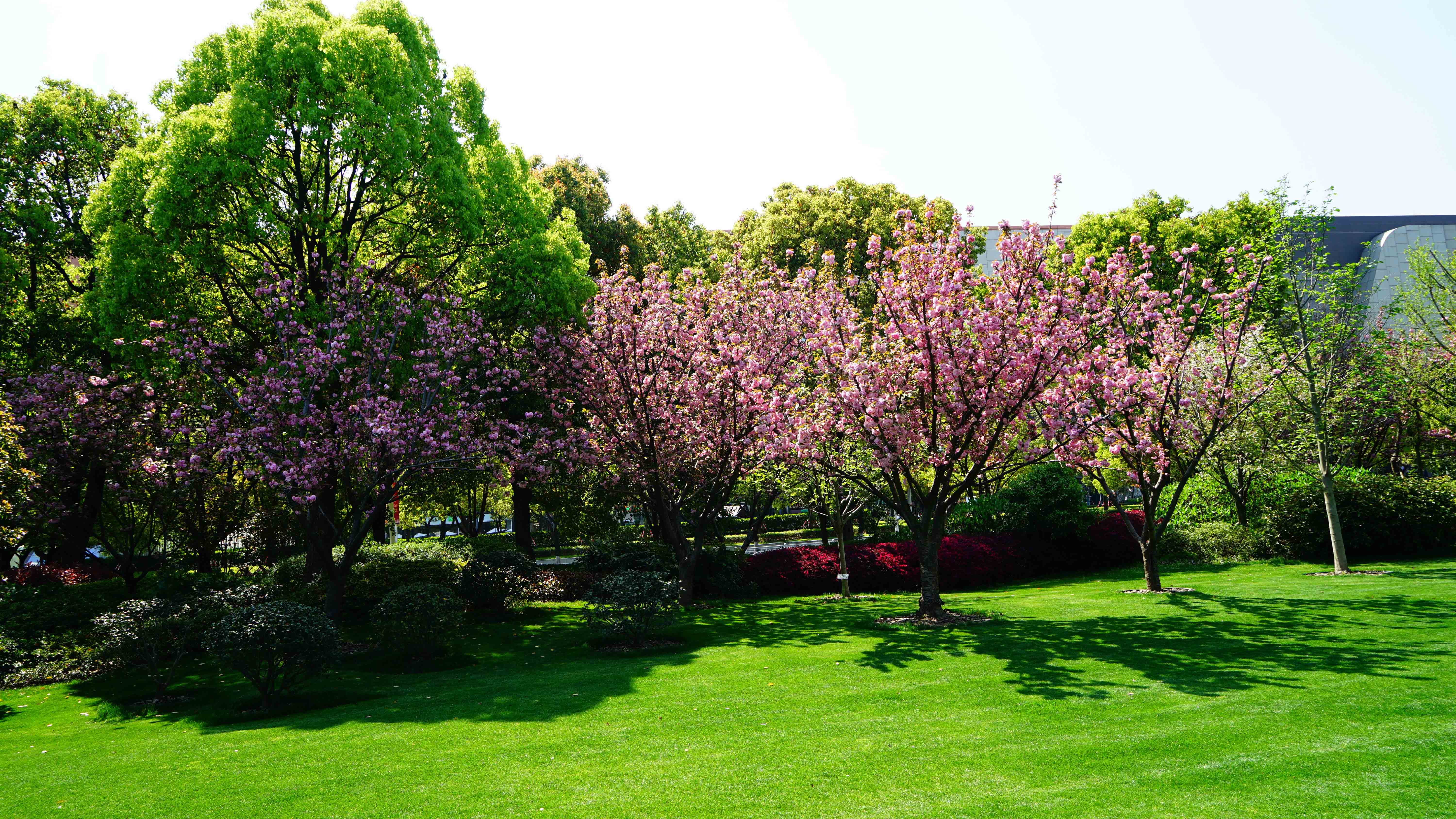 DSC09869_2.jpg