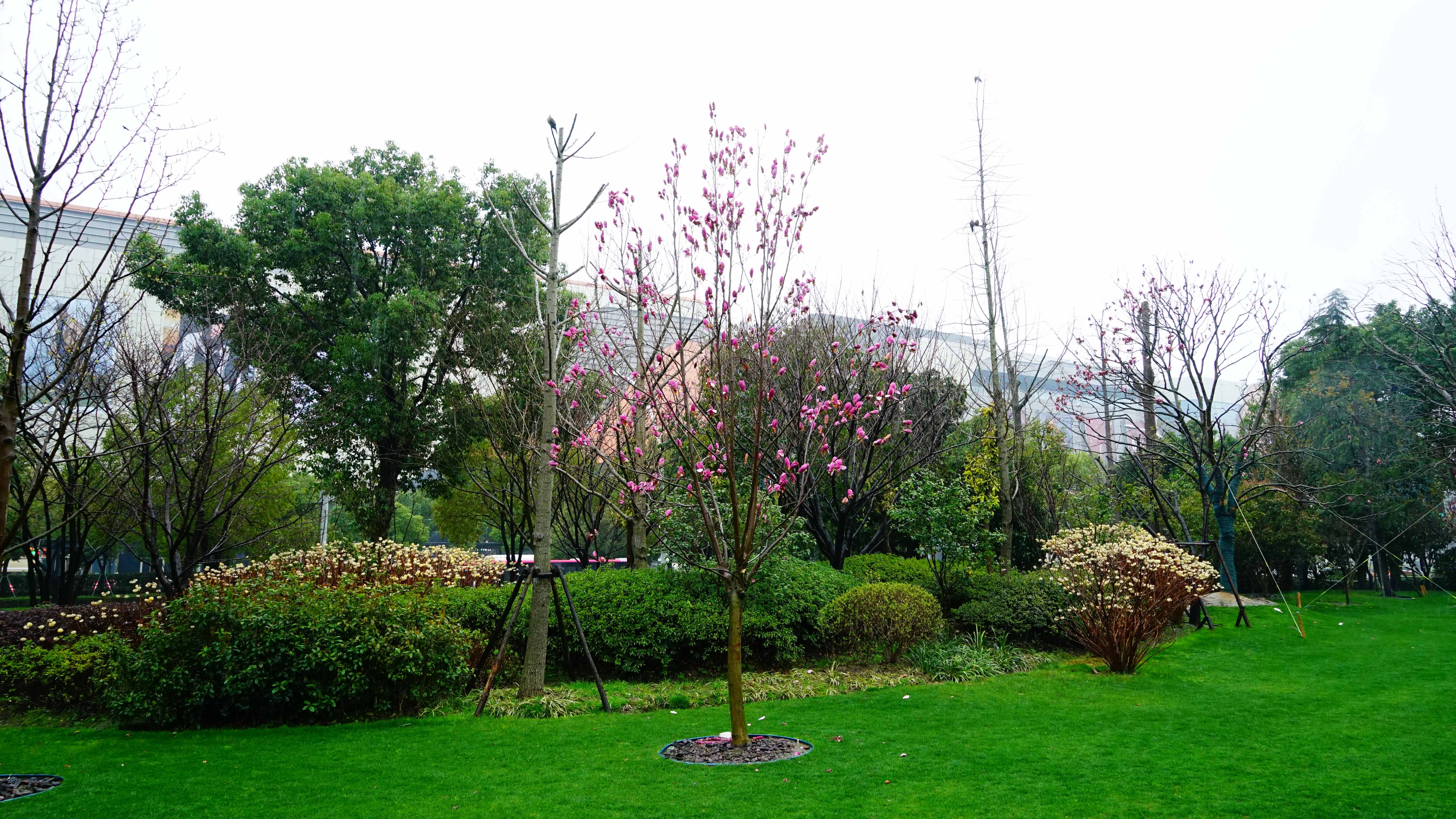 DSC06681_1.jpg