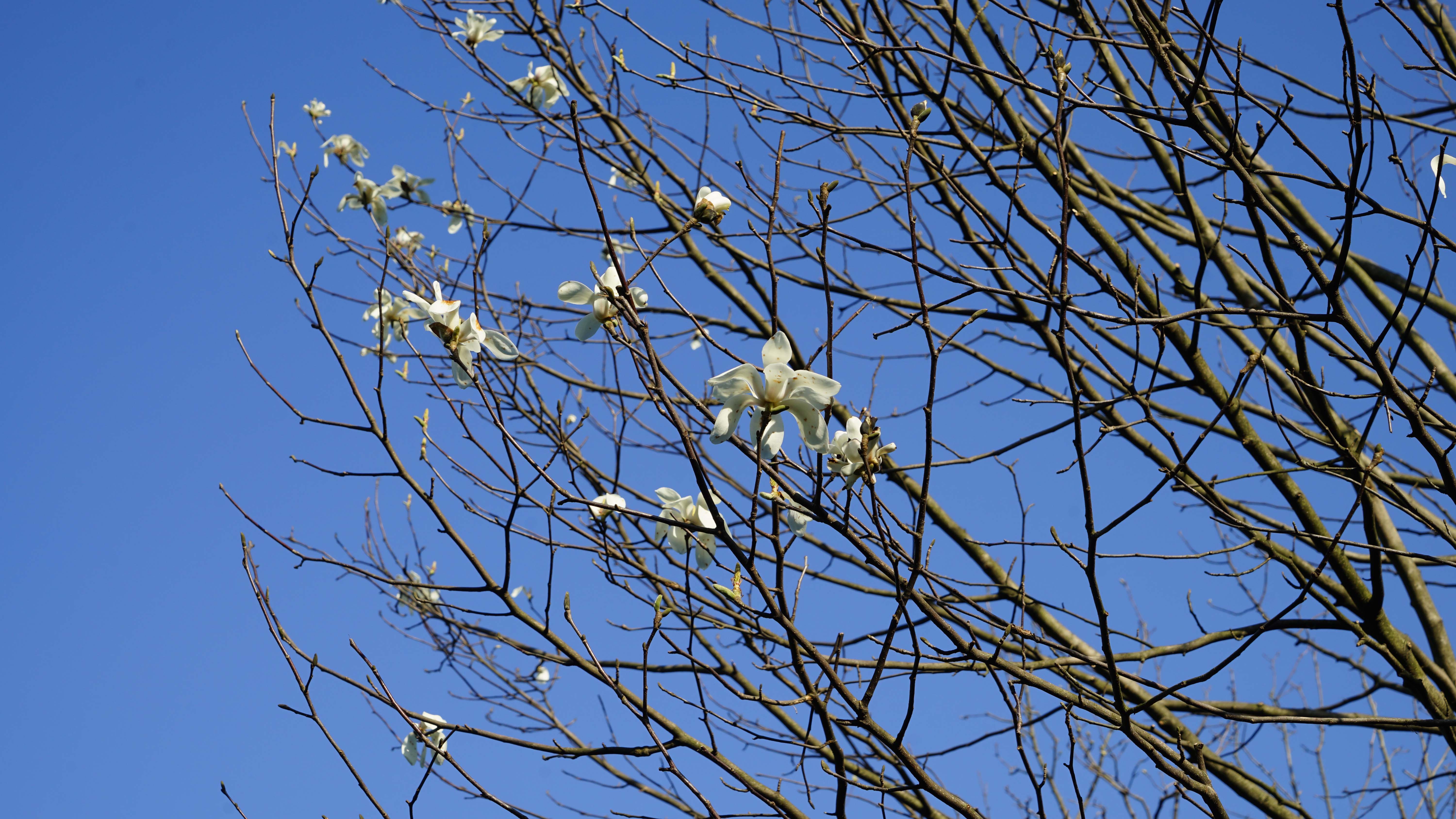 DSC06120_1.jpg