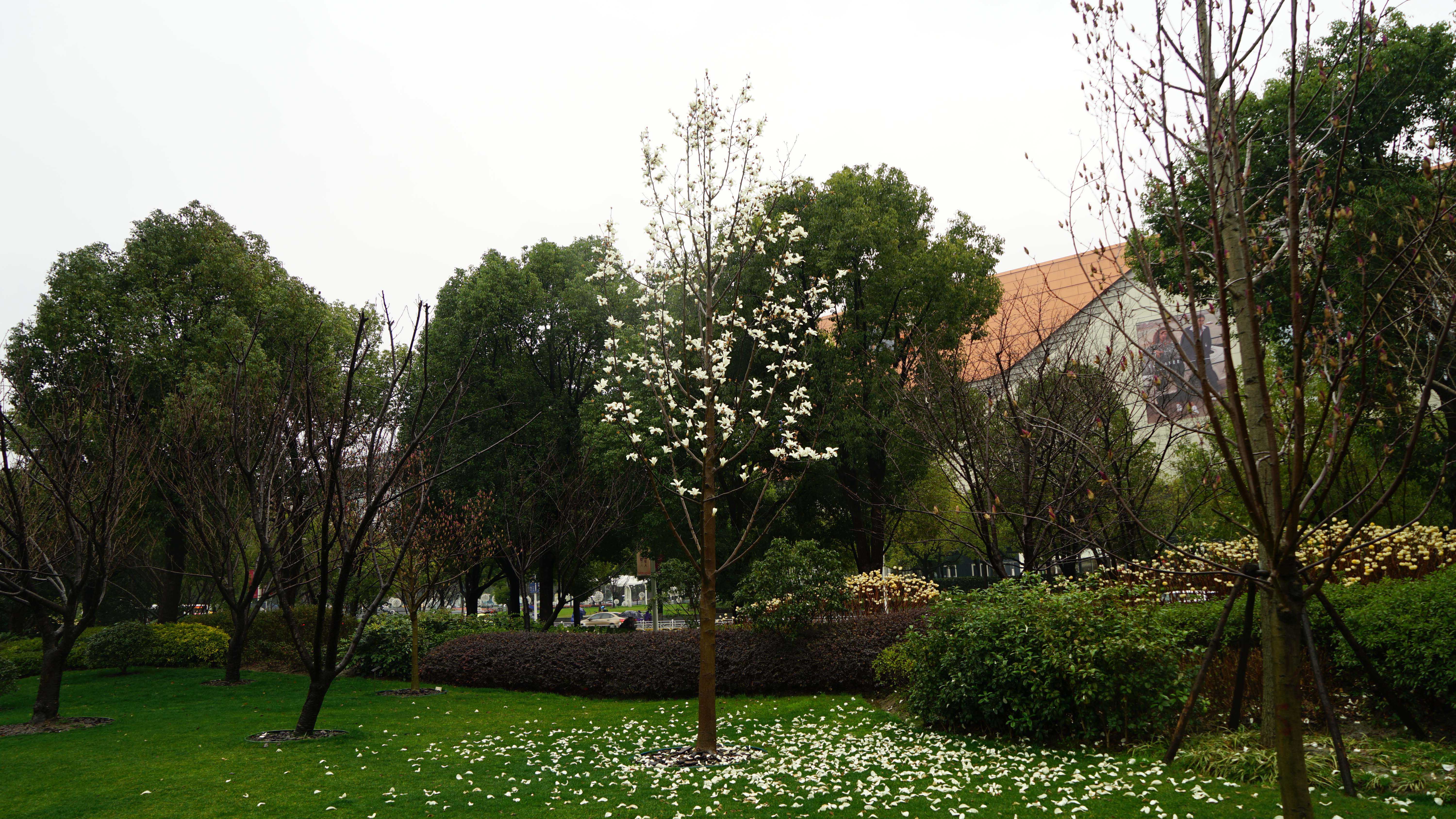 DSC06035_1.jpg