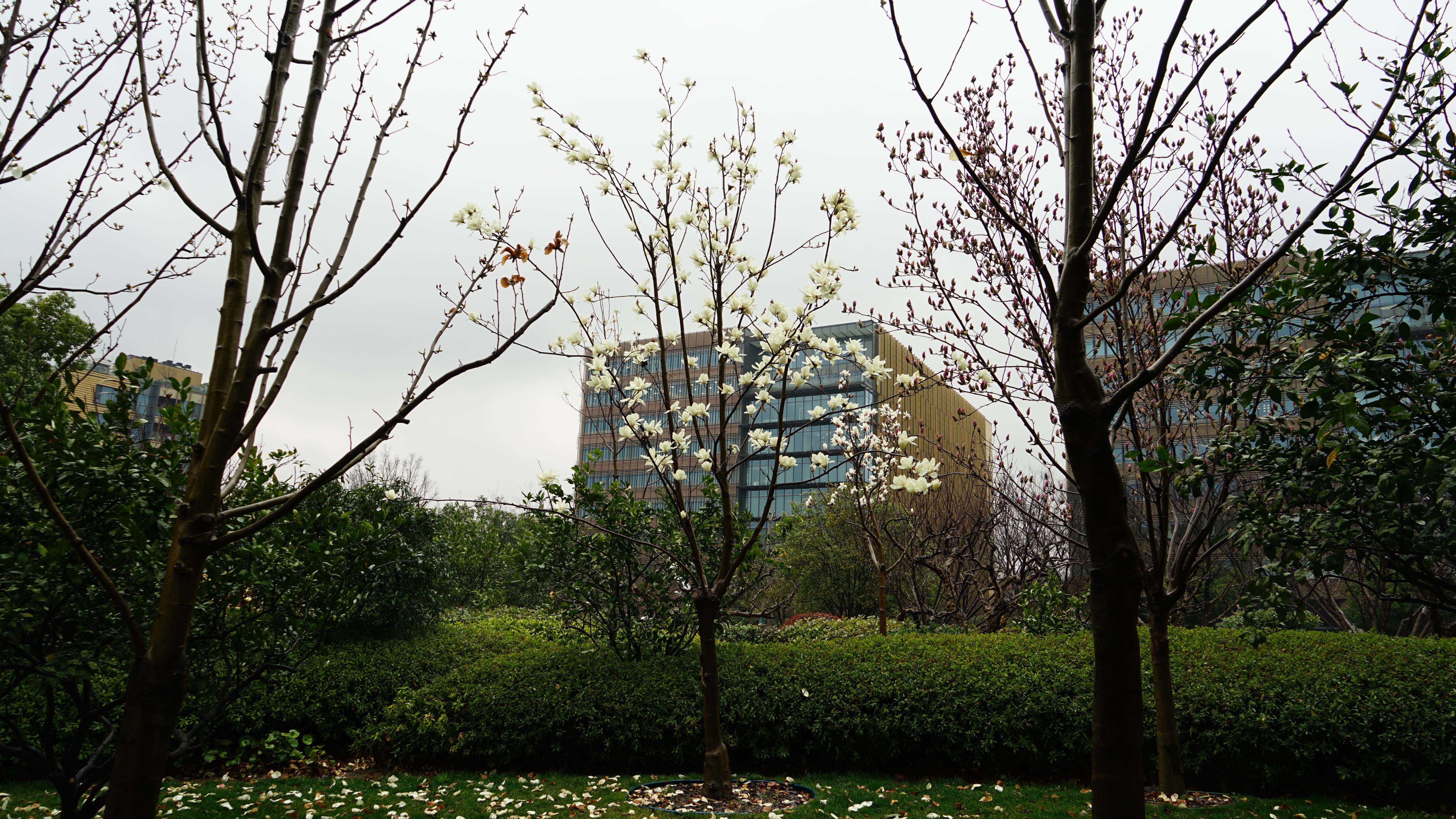 DSC05997_1.jpg